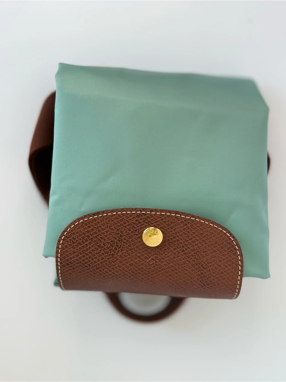 Longchamp Pliage Light Green Nylon Backpack with Brown Trim - Picture 6 of 6